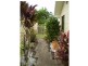 Avenell Heights QLD 4670