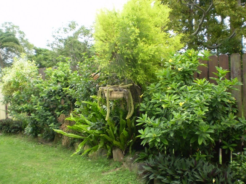 Avenell Heights QLD 4670