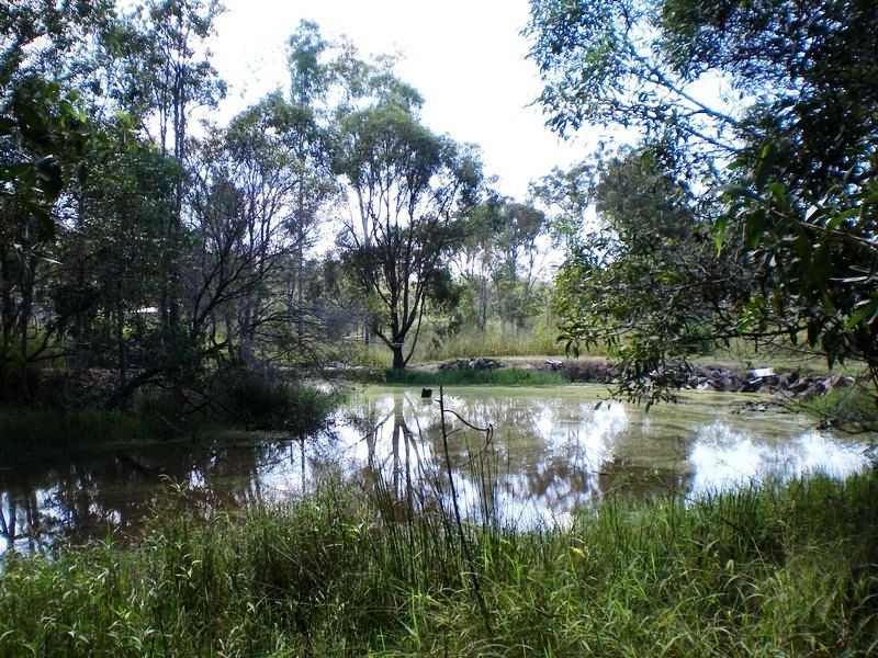 South Kolan QLD 4670