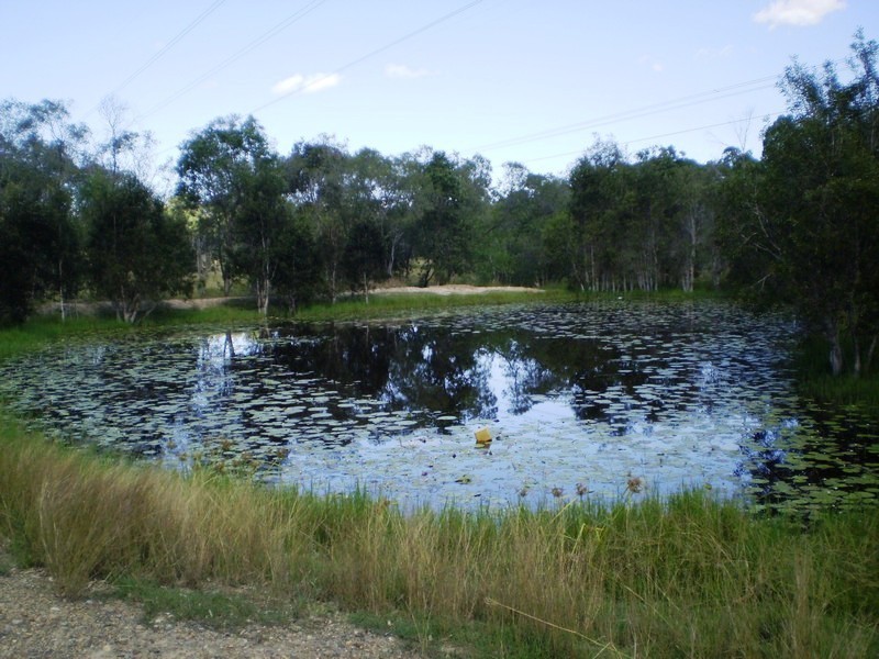 Gin Gin QLD 4671