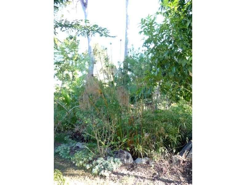 South Bingera QLD 4670