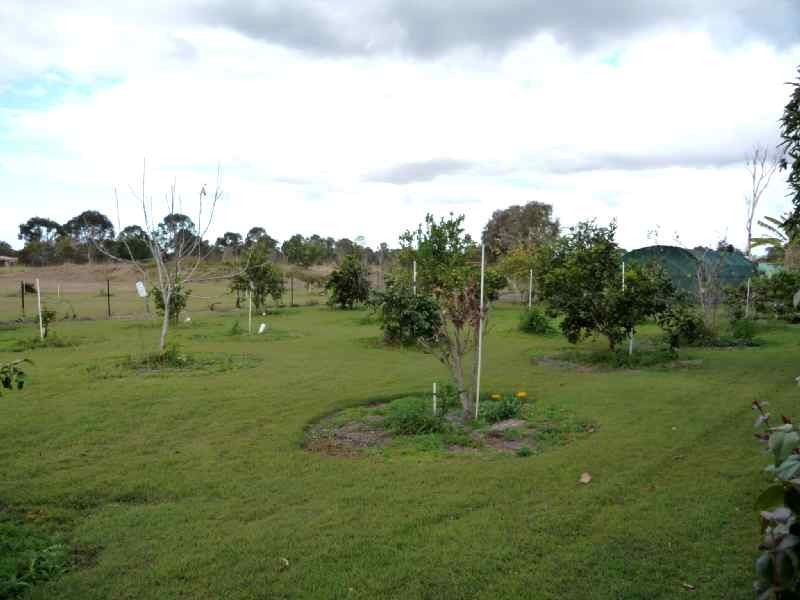 Sharon QLD 4670
