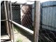 Avondale QLD 4670