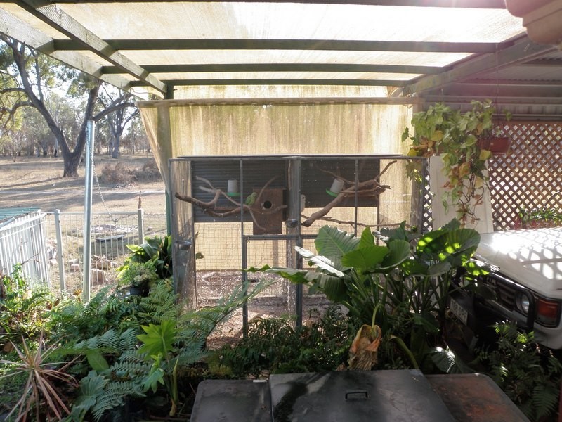 Bundaberg North QLD 4670