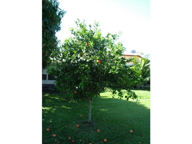 South Kolan QLD 4670