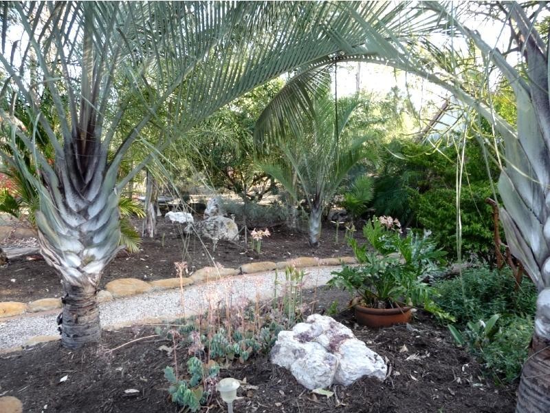 South Bingera QLD 4670