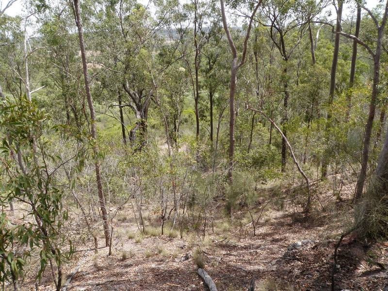 Bungadoo QLD 4671