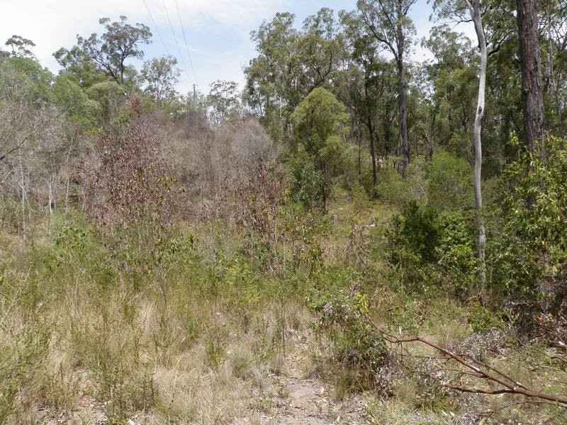 Bungadoo QLD 4671