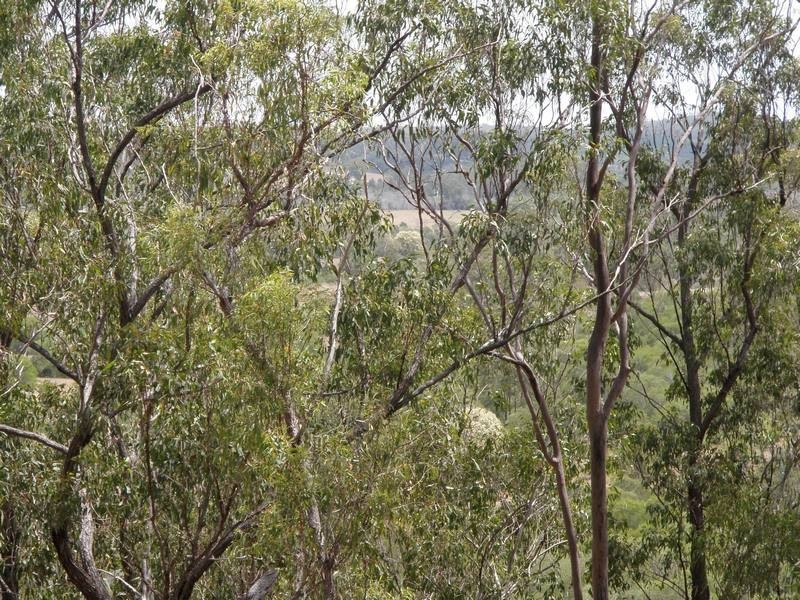 Bungadoo QLD 4671