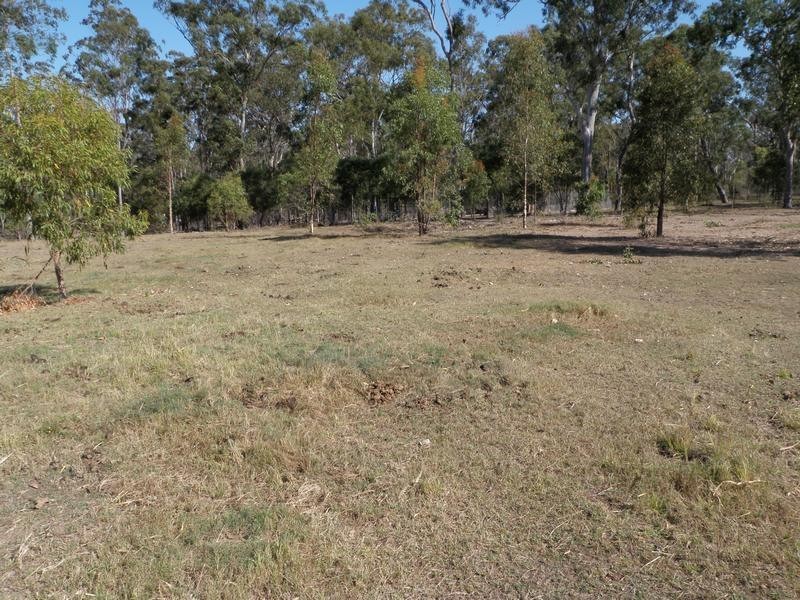 South Kolan QLD 4670