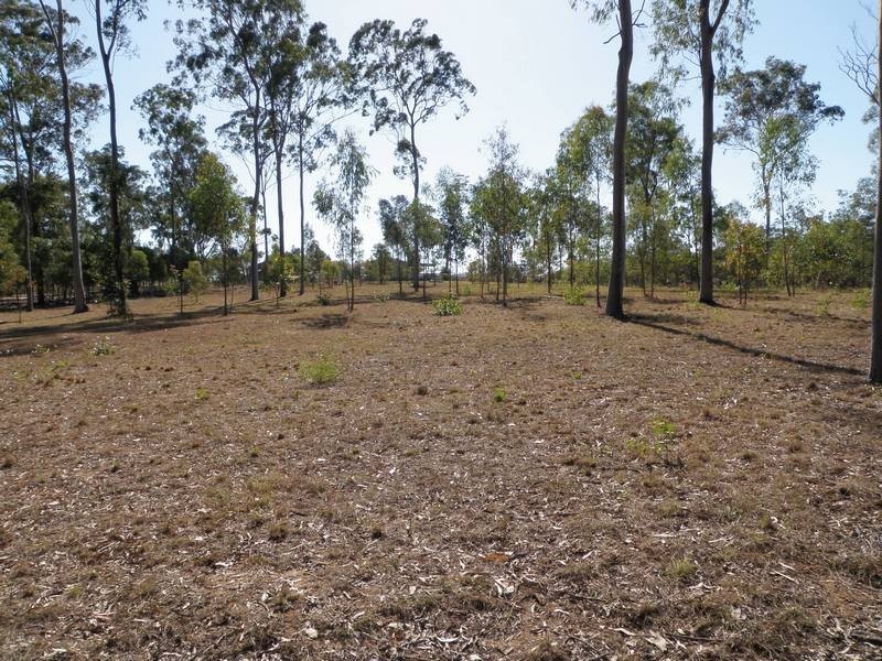 South Kolan QLD 4670