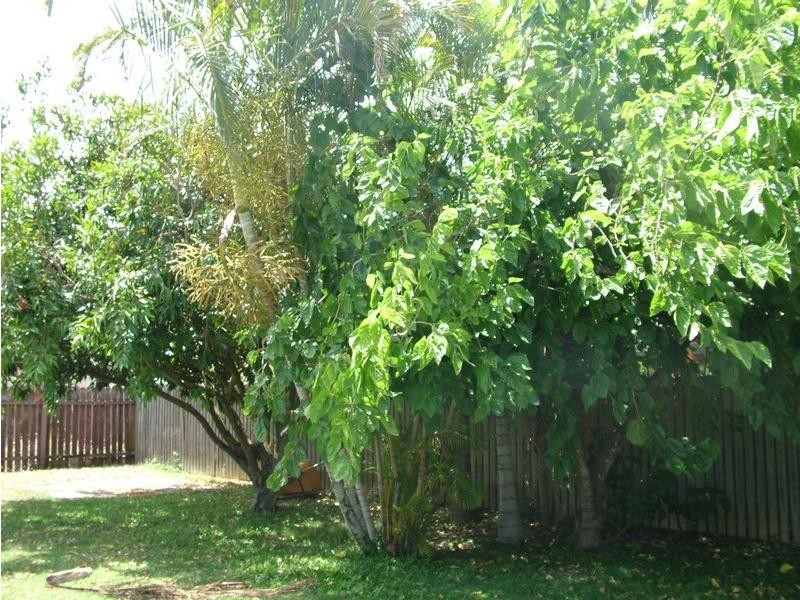Avenell Heights QLD 4670