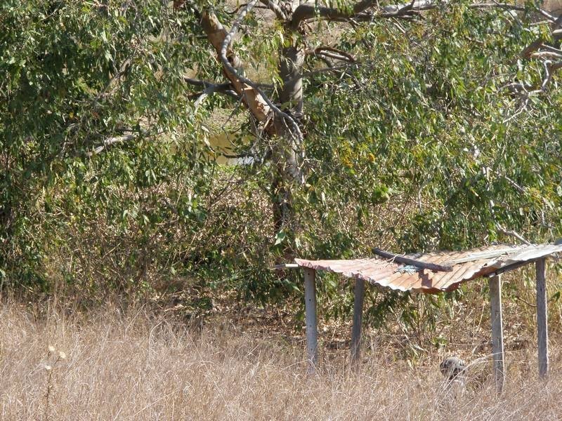 Bungadoo QLD 4671