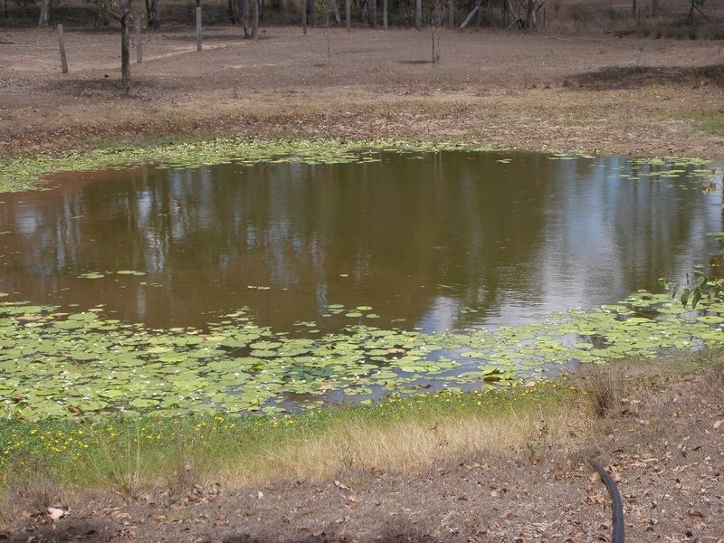 South Kolan QLD 4670