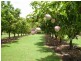 838 WALLAVILLE /GOONDOON Road, Delan, Gin Gin QLD 4671