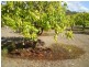 838 WALLAVILLE /GOONDOON Road, Delan, Gin Gin QLD 4671