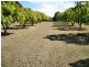 838 WALLAVILLE /GOONDOON Road, Delan, Gin Gin QLD 4671