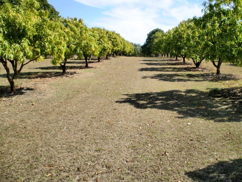 838 WALLAVILLE /GOONDOON Road, Delan, Gin Gin QLD 4671