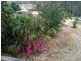 Delan QLD 4671