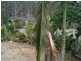 Delan QLD 4671