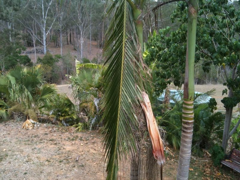 Delan QLD 4671