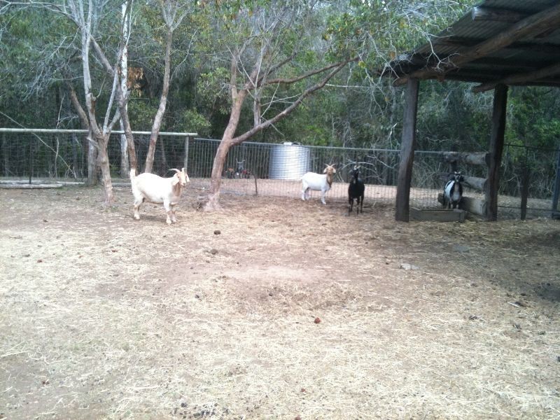 Delan QLD 4671