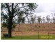 Gin Gin QLD 4671