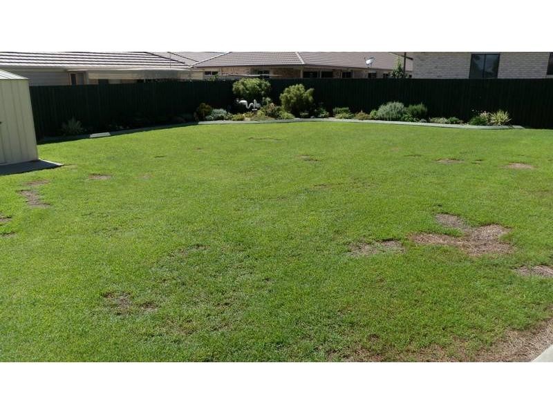 Millbank QLD 4670
