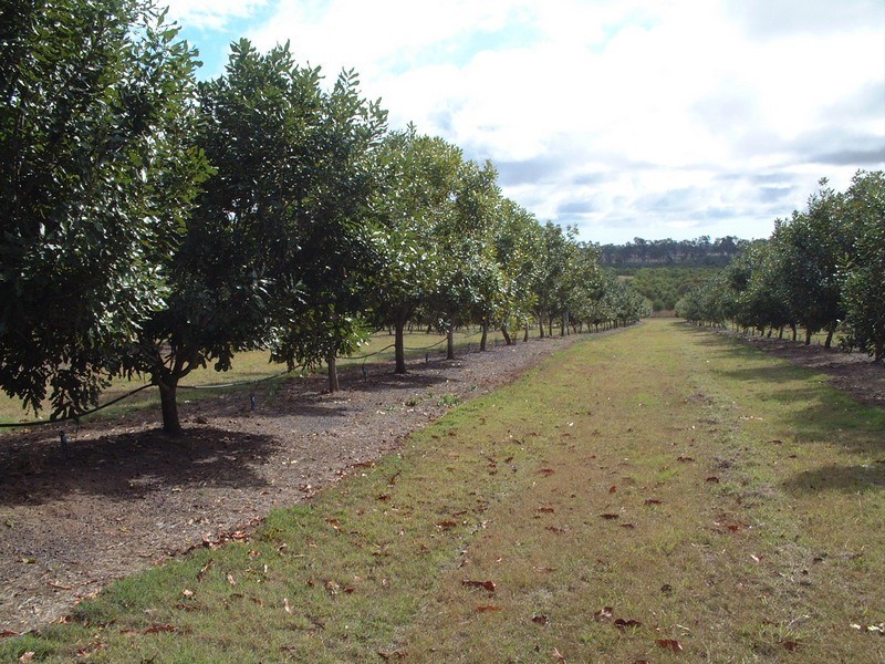 South Kolan QLD 4670