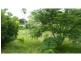 Bundaberg North QLD 4670