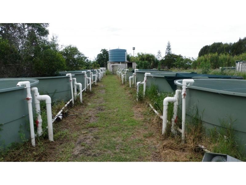 Alloway QLD 4670