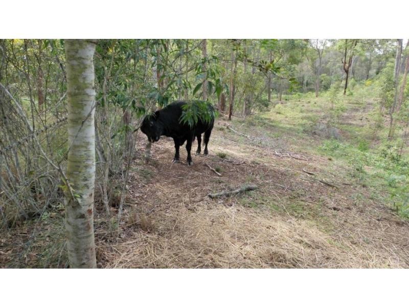 Bungadoo QLD 4671