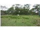 Bucca QLD 4670