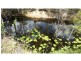 Bucca QLD 4670