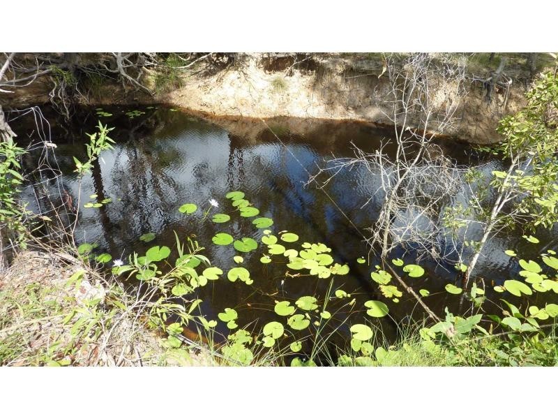 Bucca QLD 4670
