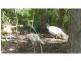 Bucca QLD 4670