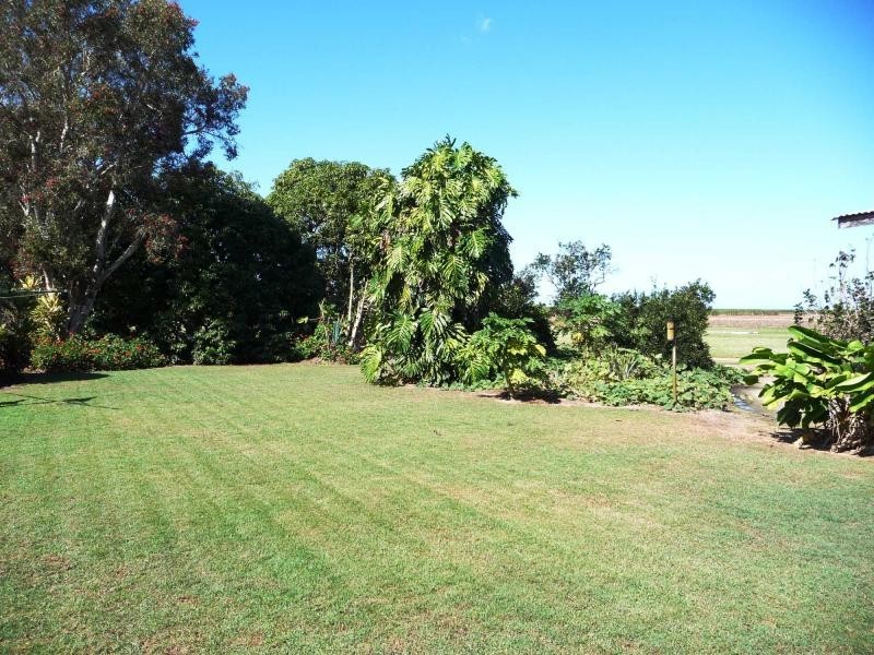 481 Moorlands Road, Moorland QLD 4670