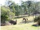 Avondale QLD 4670