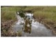 Rosedale QLD 4674