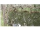Rosedale QLD 4674