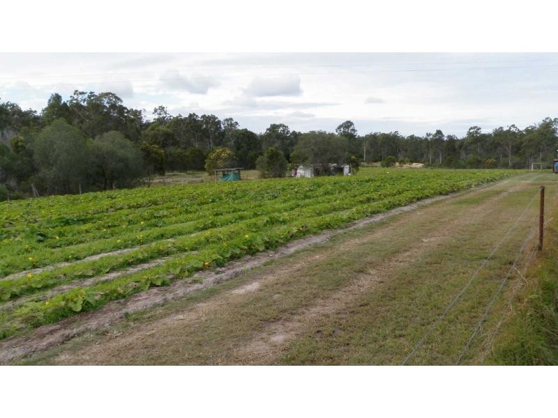 Apple Tree Creek QLD 4660