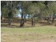 Apple Tree Creek QLD 4660