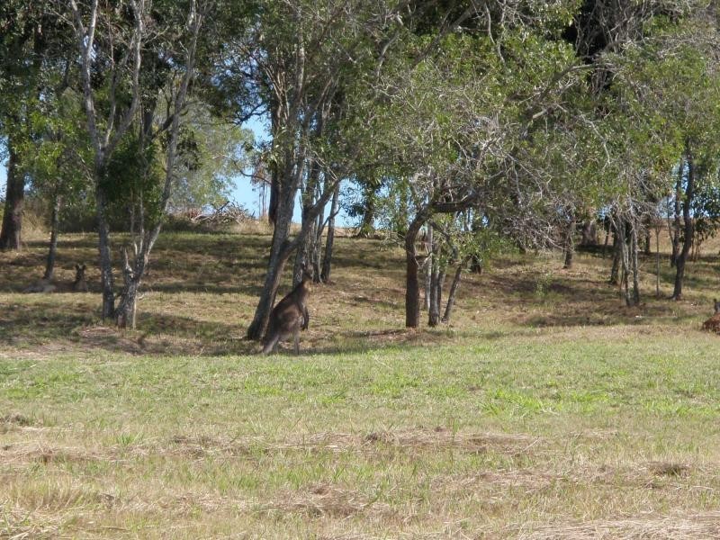 Apple Tree Creek QLD 4660