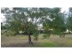Sharon QLD 4670