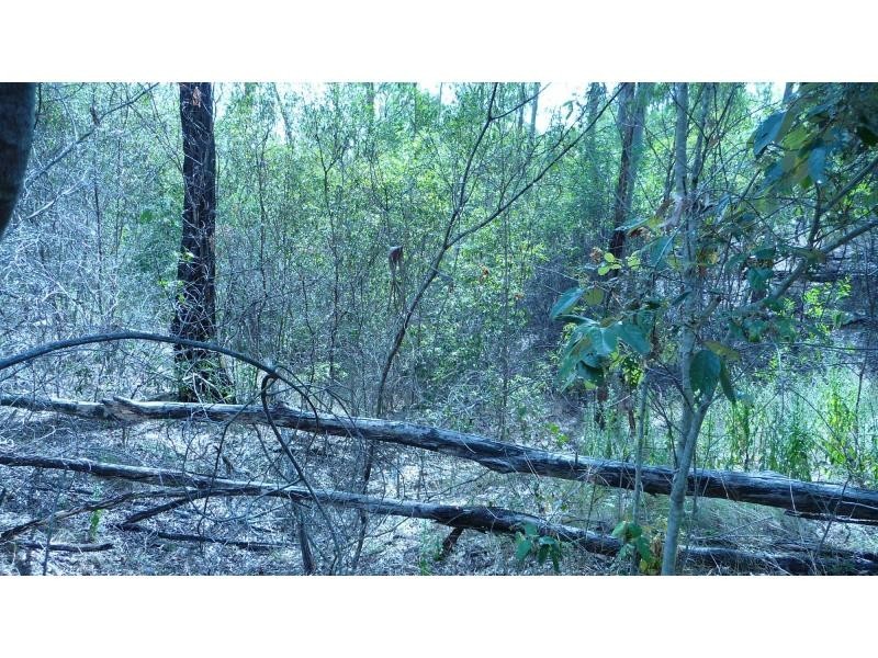 4 Monduran Road, Monduran QLD 4671