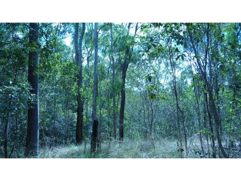 4 Monduran Road, Monduran QLD 4671