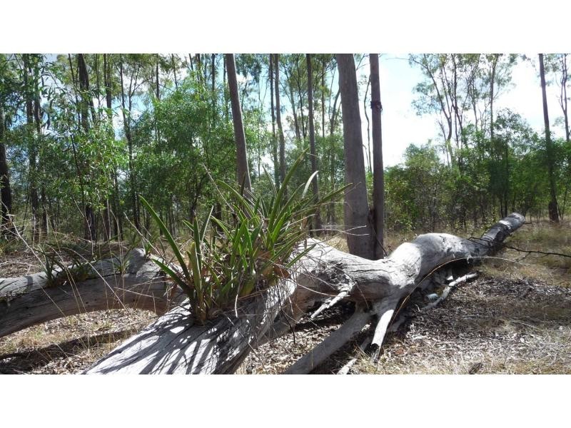 4 Monduran Road, Monduran QLD 4671