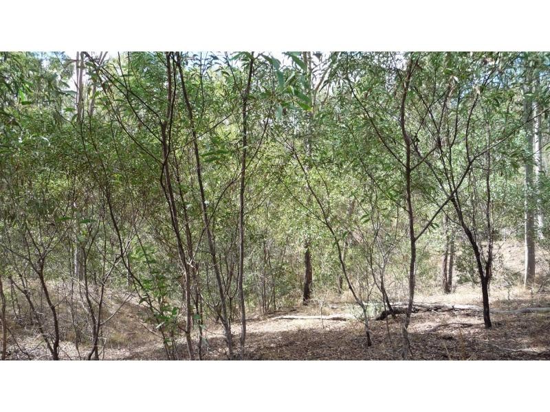 4 Monduran Road, Monduran QLD 4671