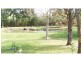 South Kolan QLD 4670