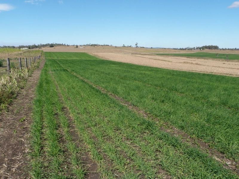 Gin Gin QLD 4671